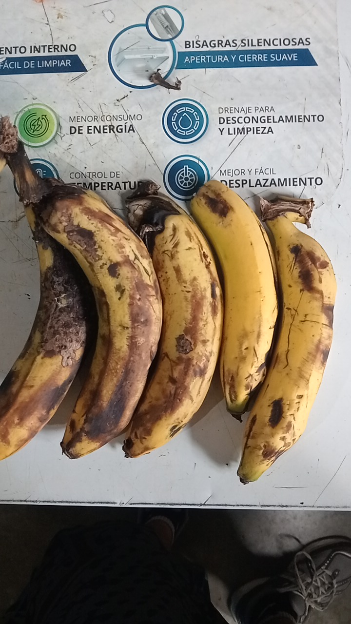 Merma Fruver